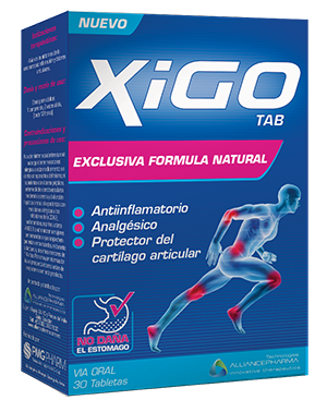 Xigo